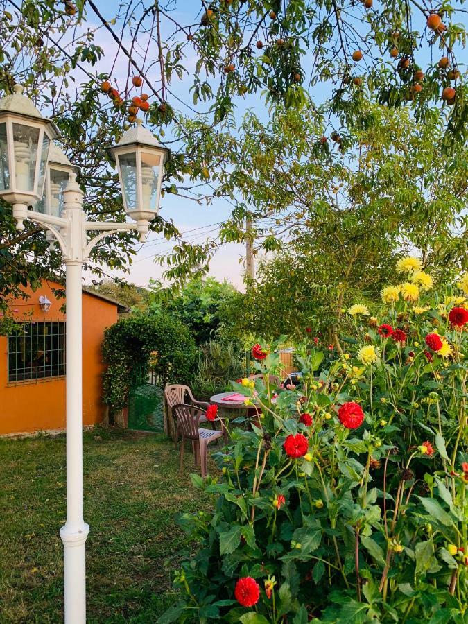 Vivienda Vacacional El Majo Pola de Siero Luaran gambar